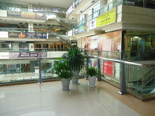 重慶植物出租室內(nèi)裝飾租擺