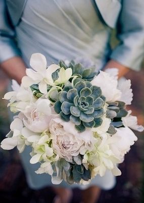 婚禮手捧花，用這些多肉會(huì)更美哦