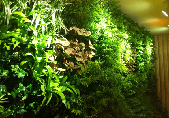 植物墻產(chǎn)品化，不一樣的生態(tài)綠化體驗