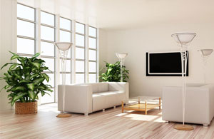 辦公室植物應該怎么選取及擺放