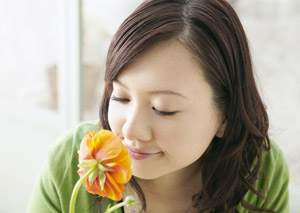 常見花的香氣作用