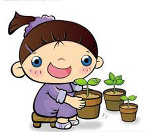 你的花為什么不開花？藍怡告訴您是什么原因！