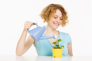 做到這幾點，養(yǎng)花再也不用愁了