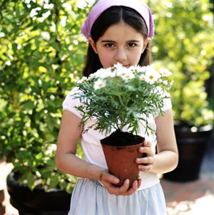 花兒生病了怎么辦？--1