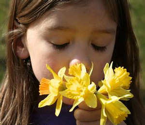 花期長的花卉，你知道幾種？