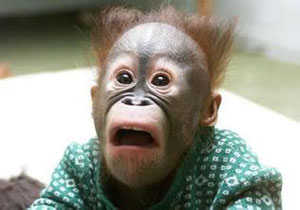 奇葩的植物名字你知道多少？