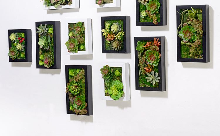 還在家里擺放綠植的你out啦，來看看植物控的新玩法