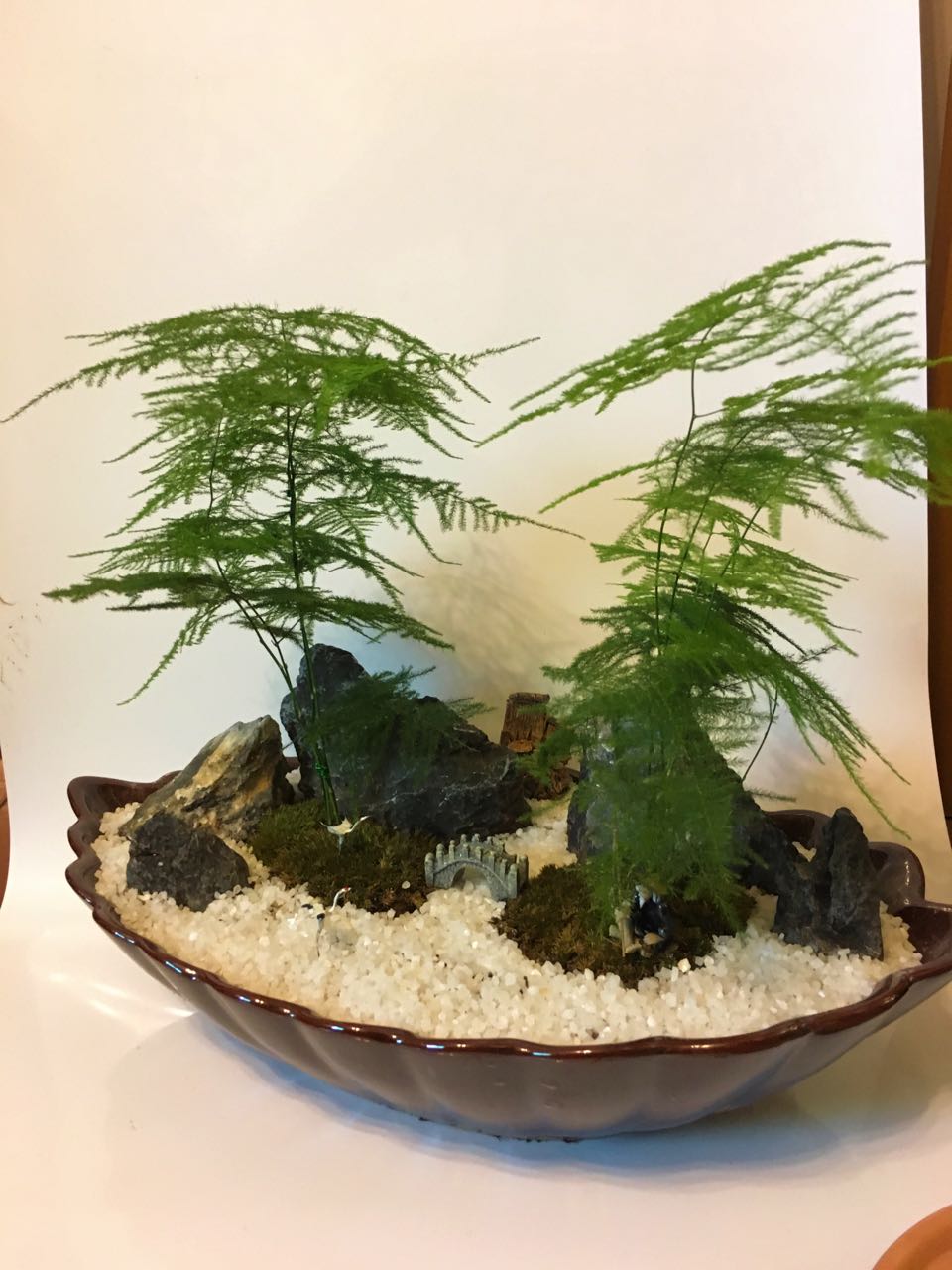 重慶室內(nèi)觀葉花木修剪技巧？