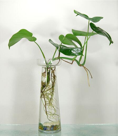 辦公室綠化怎樣做才會更恰當(dāng)