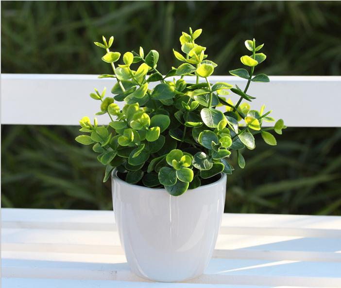 辦公室綠化-把綠色帶進辦公室