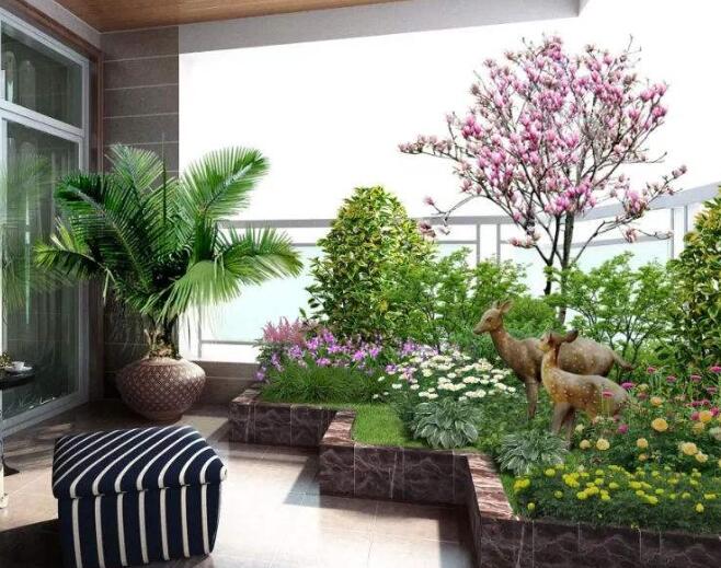 家庭適合租賃植物嗎？