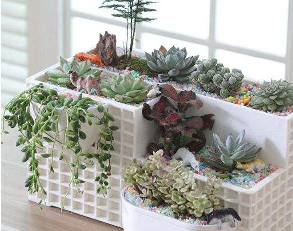 辦公室植物租賃設(shè)計需要注意哪些?