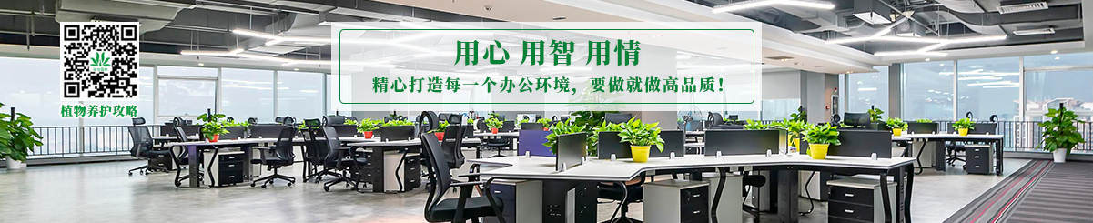 植物租賃套餐700元