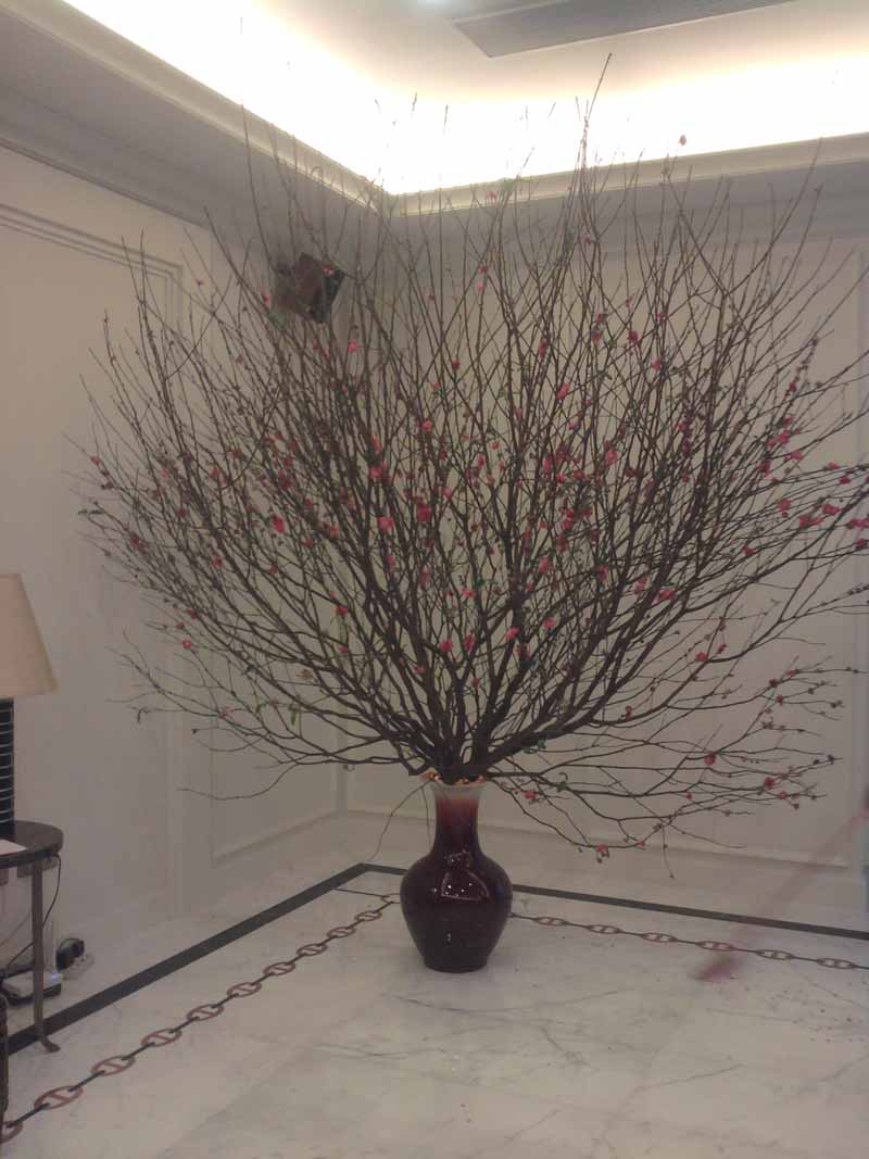 重慶植物租賃公司