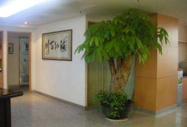 植物租擺 賓館.jpg 植物租擺 賓館.jpg