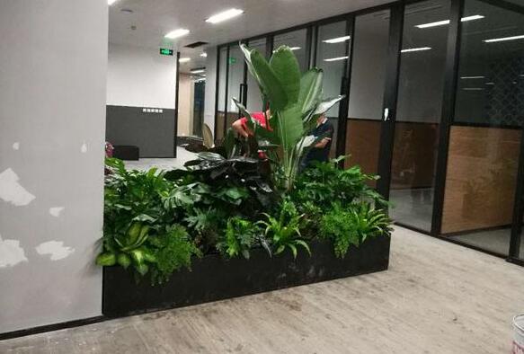 辦公場合植物租賃.jpg