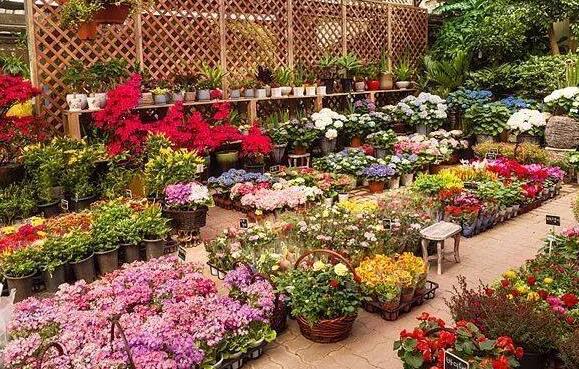 花市.jpg 花市.jpg