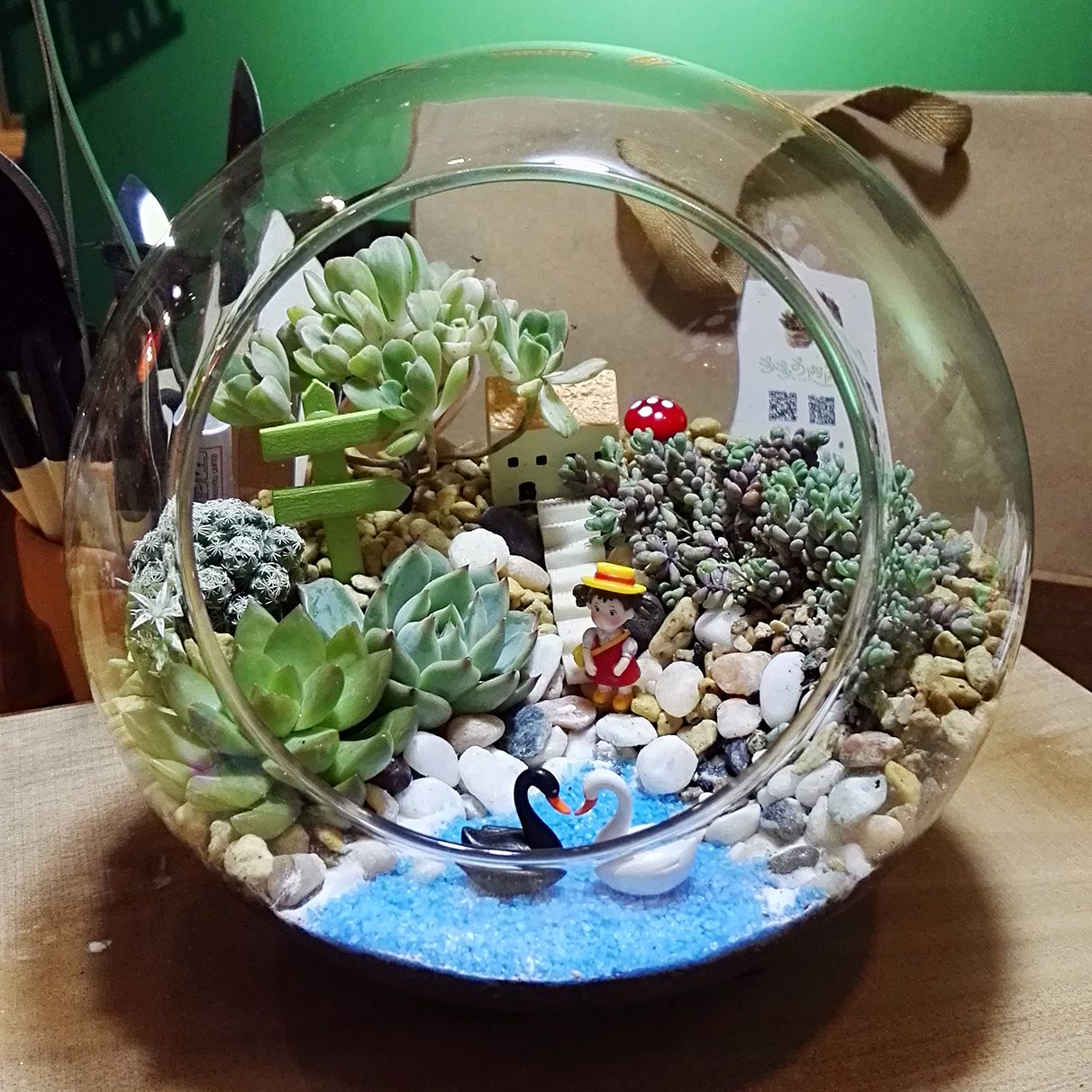 timg (3).jpg timg (3).jpg