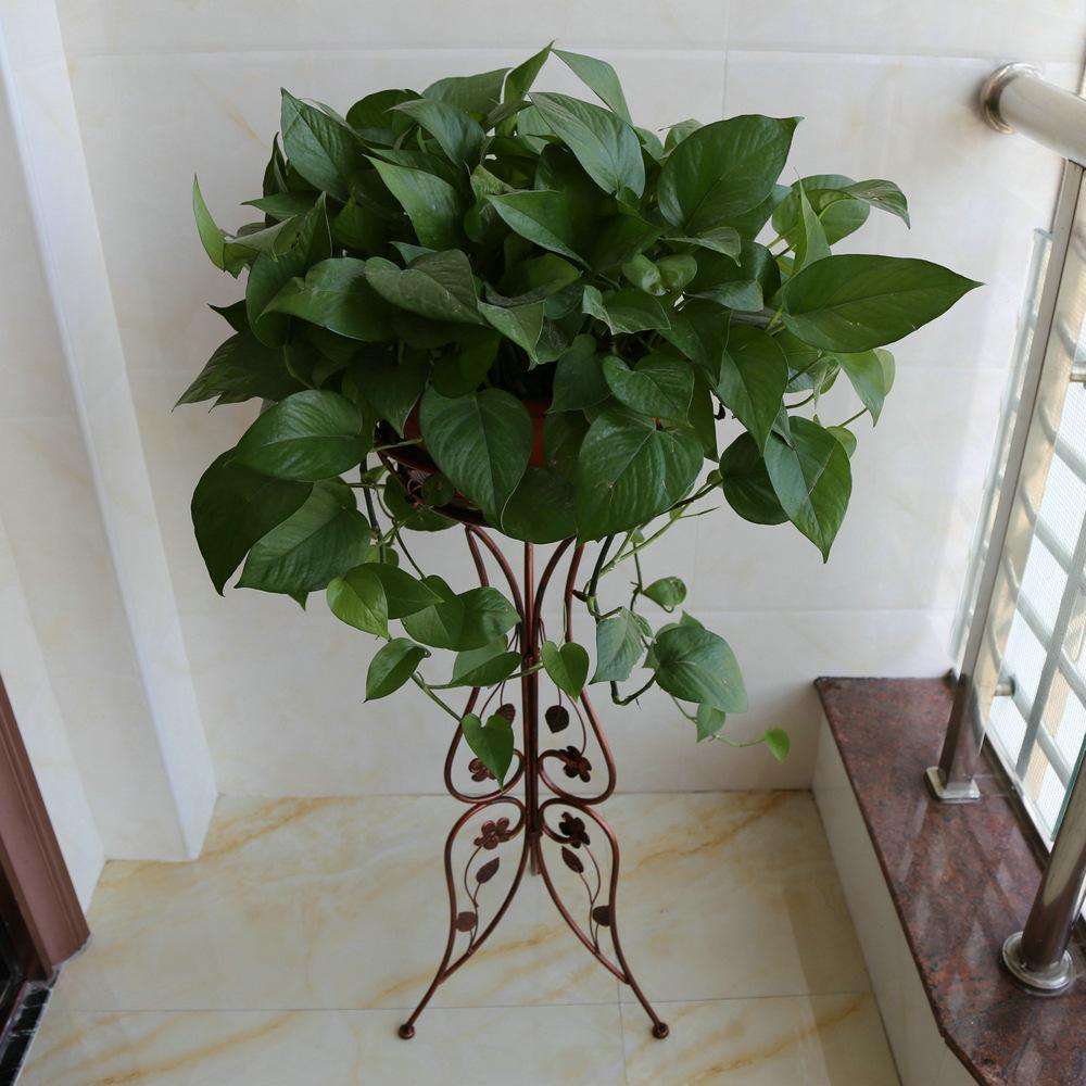 timg (5).jpg timg (5).jpg