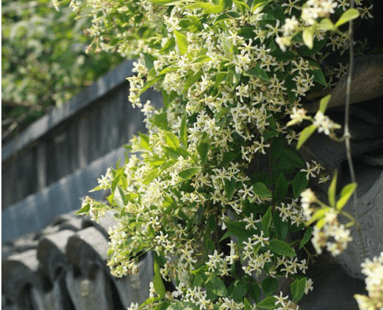 147-1G123094256.png 147-1G123094256.png