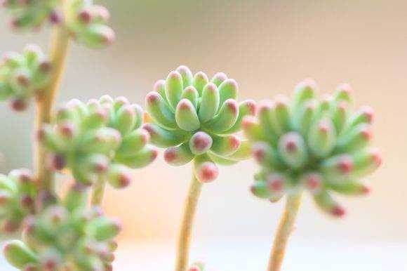 timg (2).jpg timg (2).jpg