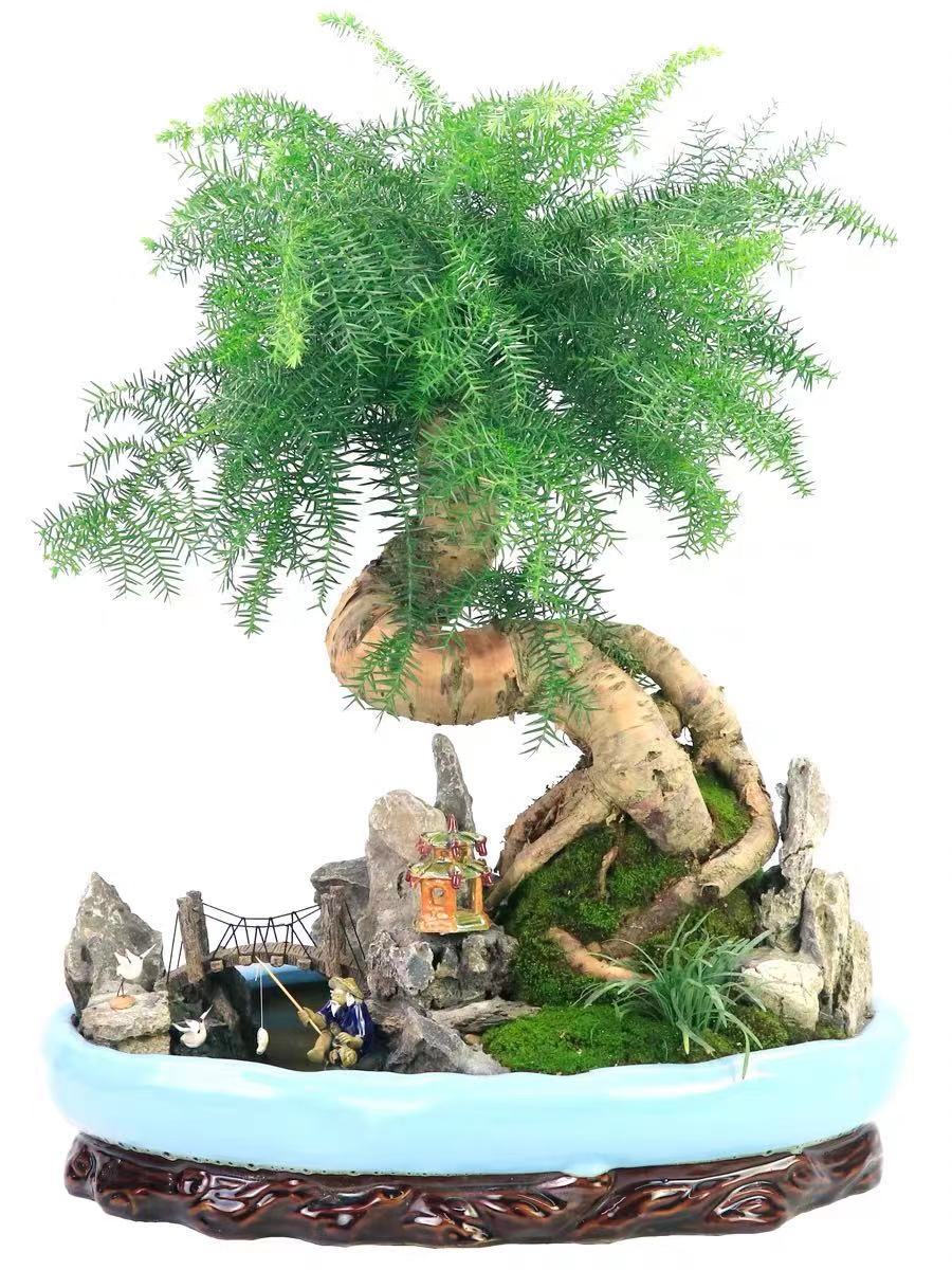 微信圖片_20210203100525.jpg 微信圖片_20210203100525.jpg