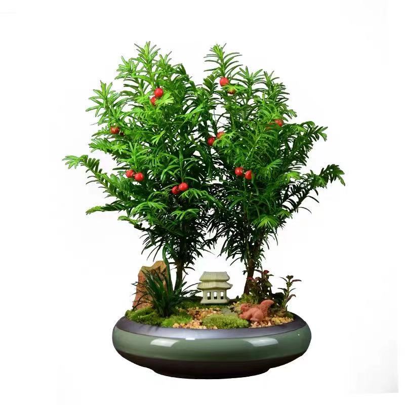 微信圖片_202102031005252.jpg 微信圖片_202102031005252.jpg